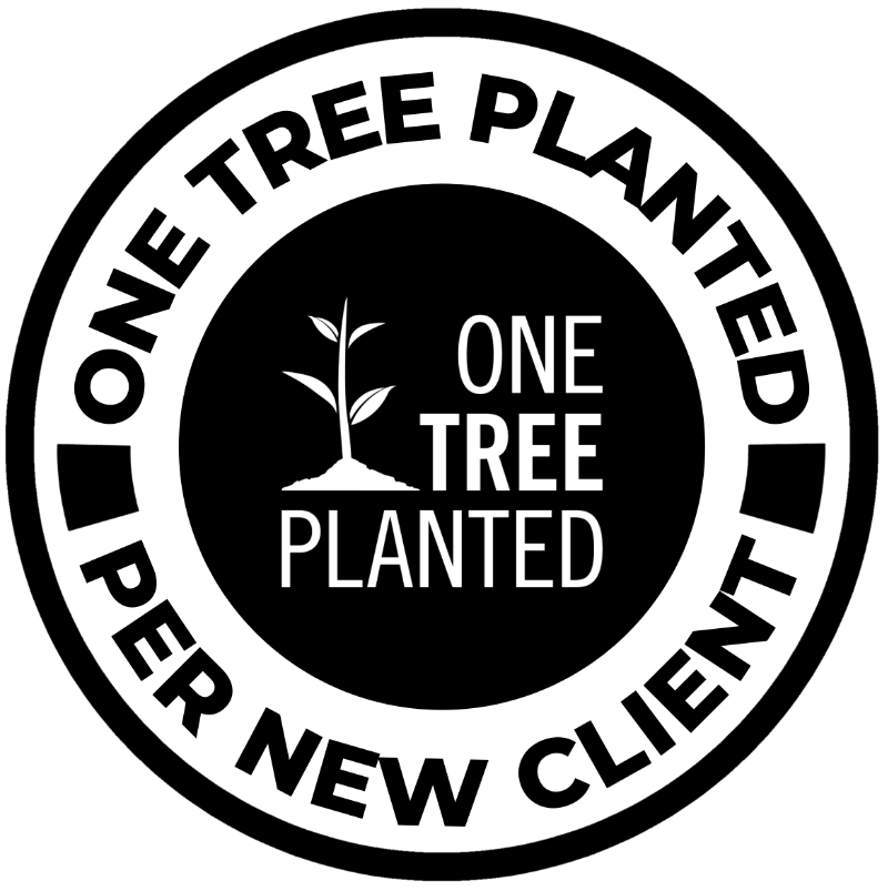 one tree planted