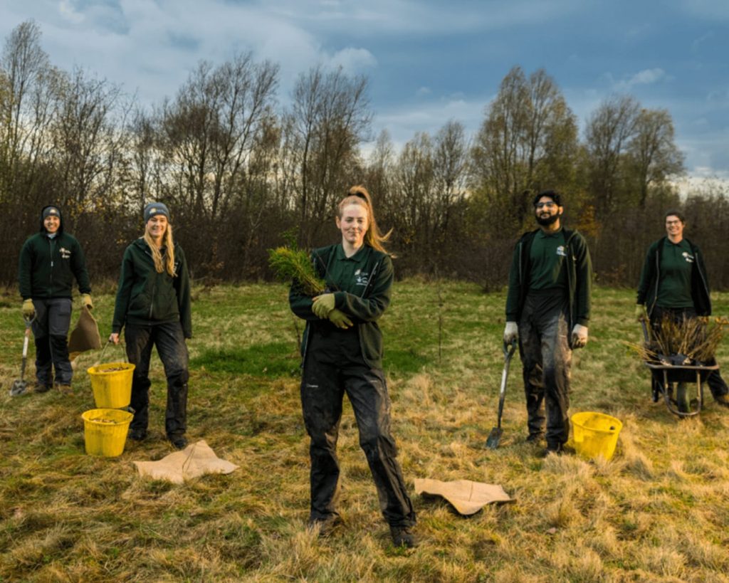 paynetworx sustainability tree planting